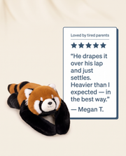 The Weighted Buddy — Big 65cm Huggable Cuddle Companion